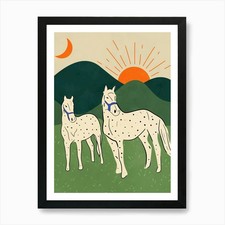 Pferde des Hochlandes