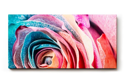 Sinus art wandbild - art,
