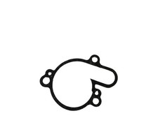 Dichtung Wasserpumpe D3020