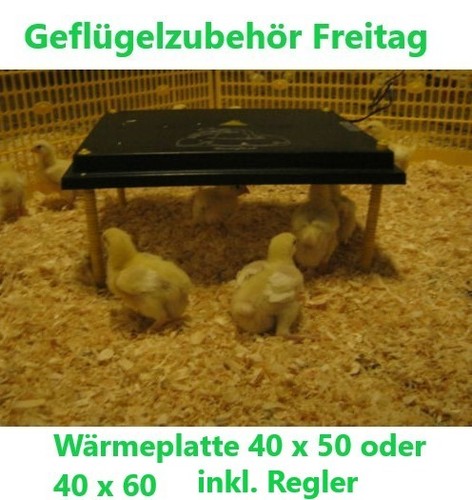 Kükenwärmeplatte 40x50 - , cm