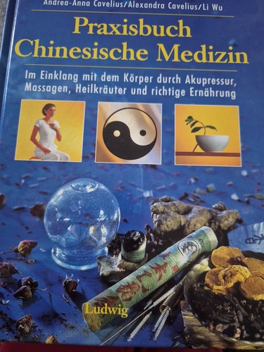 Praxisbuch chinesische medizin - praxisbuch,