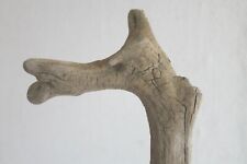 Schwemmholz Treibholz Skulptur L 56 cm stolzierende Giraffe Stolz IdeenWerkSTATT