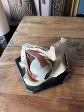 Lehrmodell Menschliches Auge