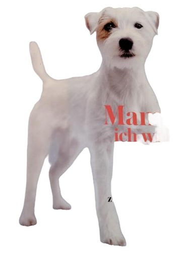 Dogs zeitschrift märz - dogs,