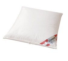 Neu Gänse Daune canadian