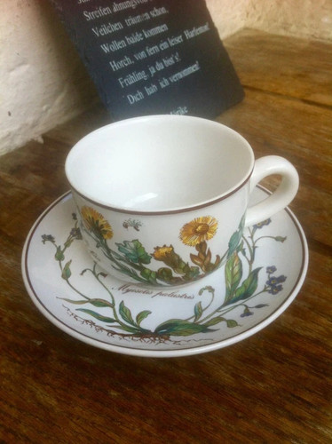 Villeroy boch botanica - villeroy,