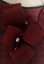 Weinrot Dressur Bandagen Eskadron Wb