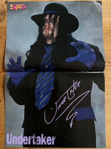 The undertaker wrestling - the,