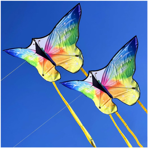 Schmetterling drachen 2er set - schmetterling,