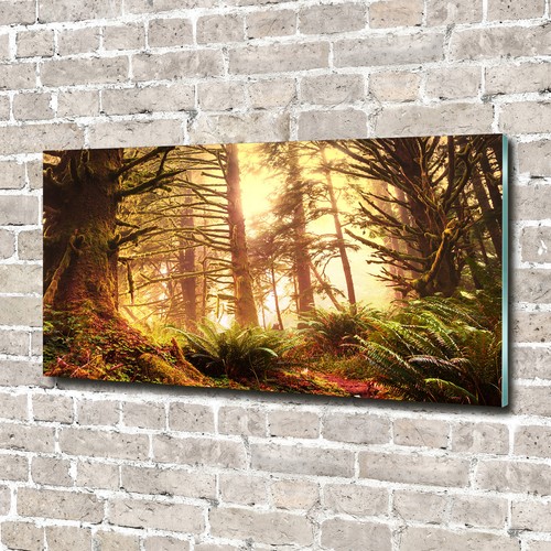 Glas bild wandbilder druck auf - druck,