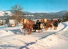 Pferdeschlitten 