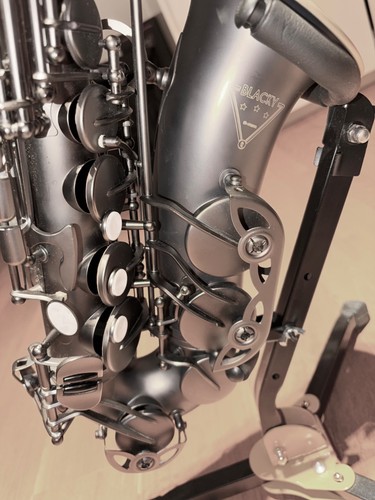 Altsaxophon thomann blacky - altsaxophon,
