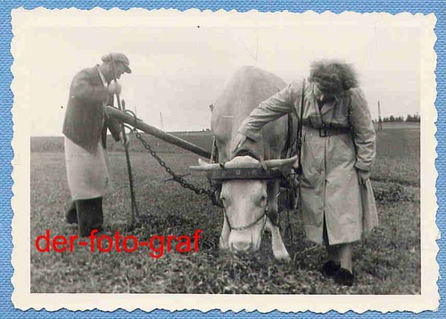 Foto alte landwirtschaft - foto,,