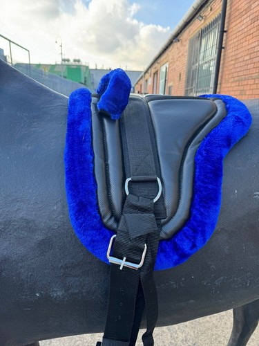 Equipride bareback - equipride,