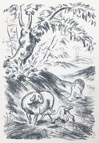 Richard seewald - seewald, (1889–1976)