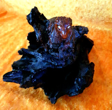 Waldgeist Wurzelsepp