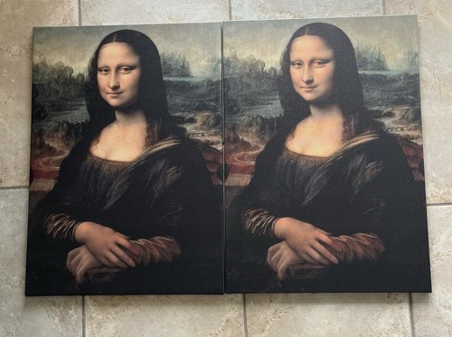 Pjätteryd bild mona lisa - bild,