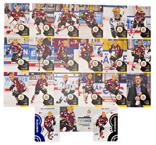 21 x Playercards DEL Saison