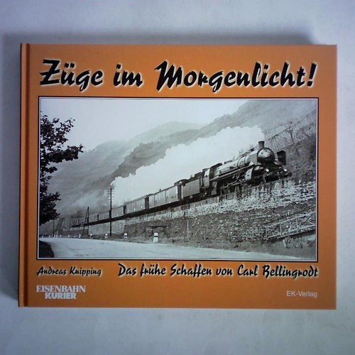 Züge morgenlicht das - züge, im