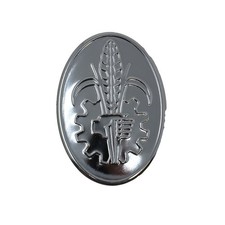 E1ADKN8212C Major Hood Emblem