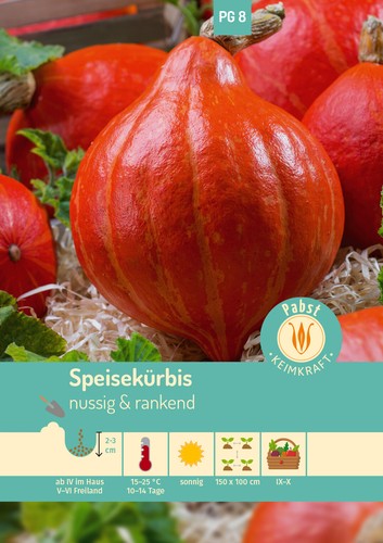 Speisekürbis nussig - , &