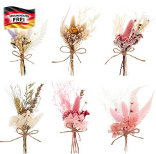 Mini Trockenblumen Set für