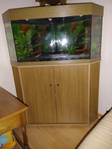 Juwel eckaquarium 150 - eckaquarium,