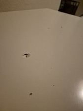 IKEA MALM Schreibtisch weiß