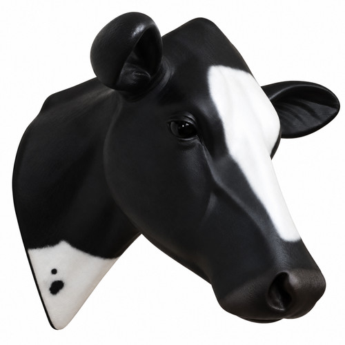 Holstein friesian kuh kopf - friesian,