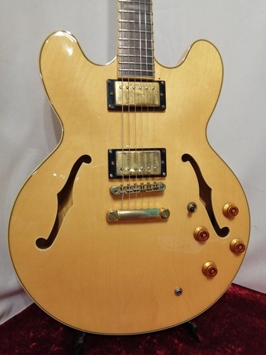 Epiphone sheraton na - [epiphone], ii