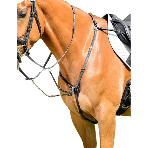 Collegiate breast blatt mit - -,