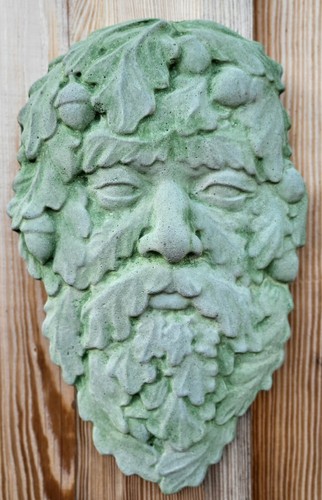Stein baumgesicht höhe - stein,