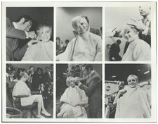 C2284/ Twiggy  Foto 23 x 18 cm