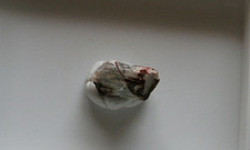 selten Beryll , Hornberg 