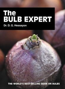 The bulb expert - the,