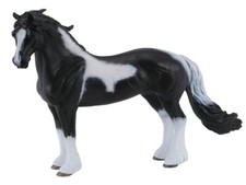 Pinto Stallion Baroque