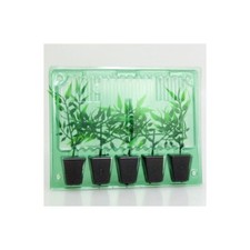10 x Versand Verpackung Aquarium Aquaristik Ableger Steckling Weed 420