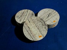 Buche  verstockt Rotbuche