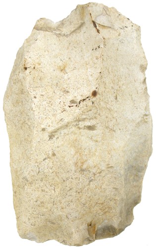 Neandertaler