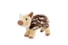 Wildschwein Baby Frischling