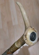 Schöner alter Spazierstock