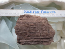 Fossiles verkieseltes Holz  Braunkohle Zeche Hirschberg  alter Fund Großalmerode