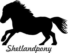 2 x Auto Aufkleber SHETLANDPONY "shetland pony "  Car Sticker worldwide shipping