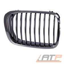 Kühlergrill niere - kÜhlergrill,