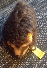 Steiff igel joggi samlerware - steiff,