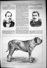 Alter 1884 Jecks Arthur Budd Hund Forbes-Winslow Mastiff Kronprinz Sw viktorianisch