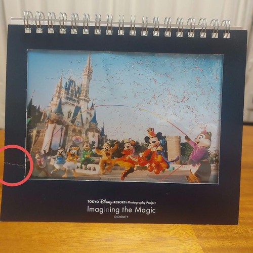Disney resort fotoalbum - disney,