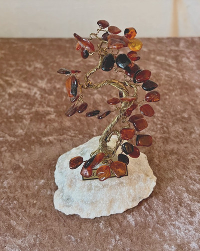 Glücksbäumchen bonsai - glücksbäumchen,