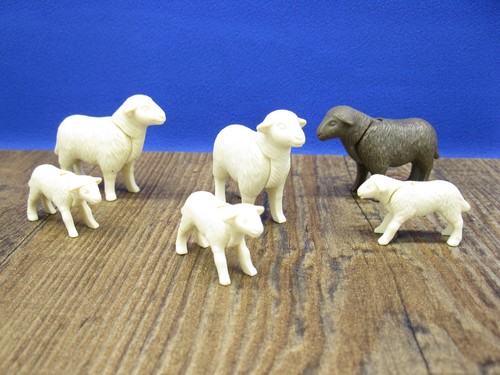 Schaf lamm tiere - schaf, 3x