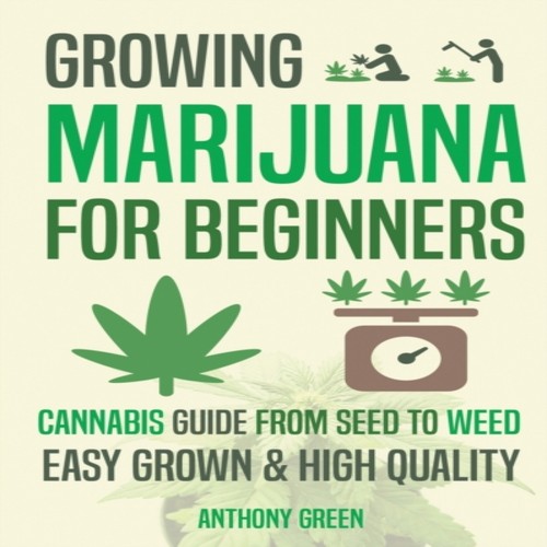 Growing marijuana for - marijuana,